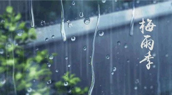 CANLiA卡利亚|梅雨季来临，这样才能打赢家居防潮保卫战！