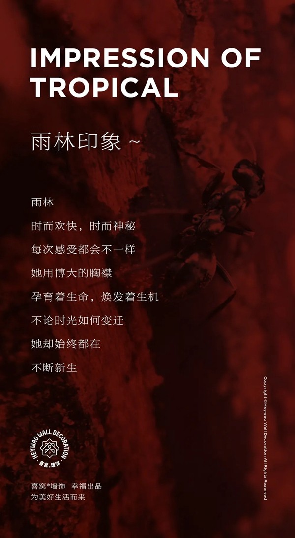 喜窝墙饰 | 雨林印象