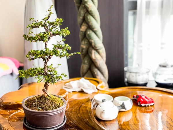 科凡全屋新奢定制丨当毛坯遇上复式，颠覆住宅设计主流理念！
