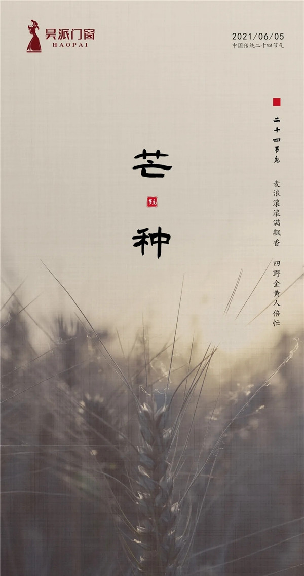 昊派门窗|芒种