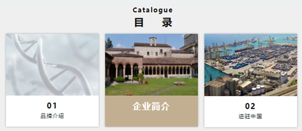 “新征程，新挑战”——ITALIA意库马品牌名片