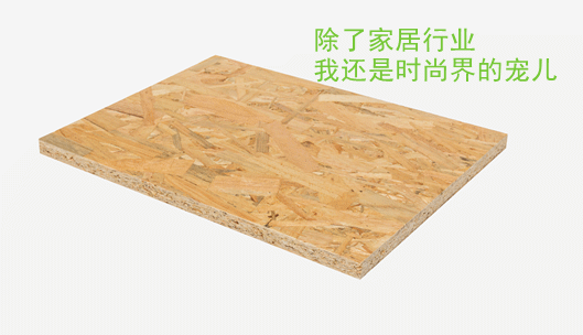 千年舟·柏菲伦：有了这张板，让你的地板一秒出圈！