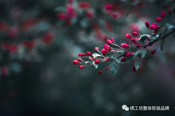 绣工坊 | 夏至遇上父亲节，绣工坊给你清凉一夏！