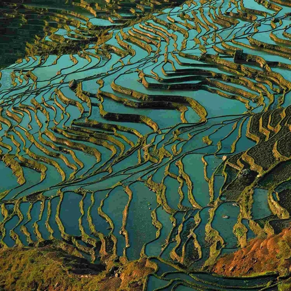 解锁红棉花新饰界——红棉花板材邀您莅临2021中国建博会（广州）