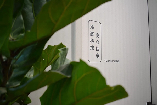 2021中国建博会（广州）｜红棉花板材带你一起耀动超感饰界