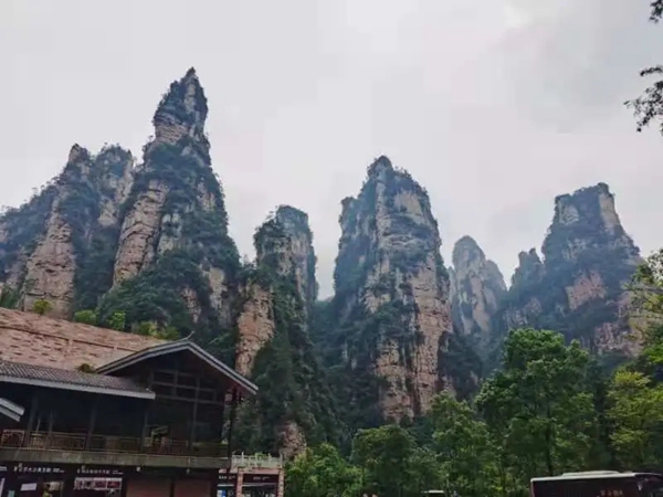 客来福家居合肥分公司张家界团建活动之旅 客来福家居合肥分公司张家界团建活动之旅