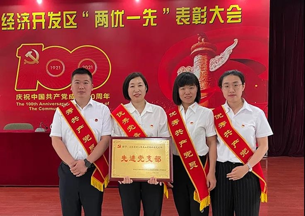 深厚家国情怀|三峰家居庆祝建党100周年