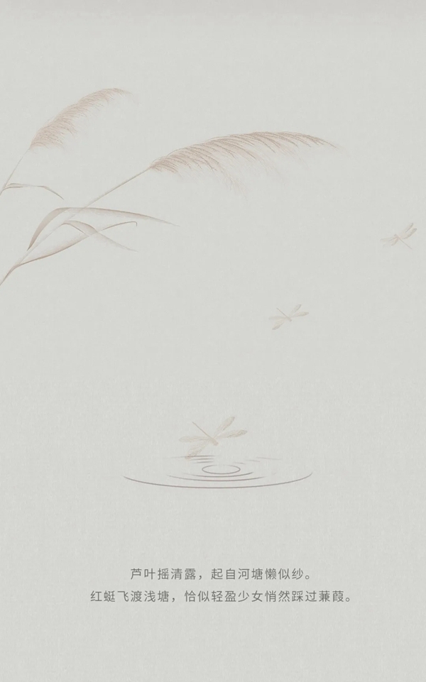可罗雅墙布春兮篇|芦苇茂密水边长，深秋白露结成霜