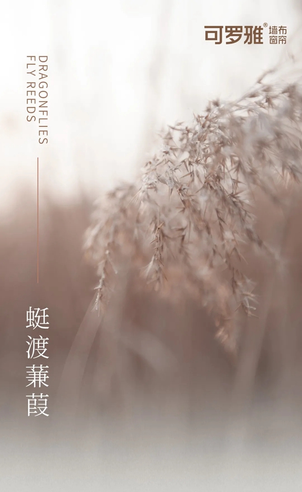可罗雅墙布春兮篇|芦苇茂密水边长，深秋白露结成霜