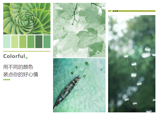 伊莎莱|小户型窗帘怎么选家既敞亮又大方？