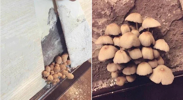 创意玩家地墙整装•空间定制|不发霉的墙板 