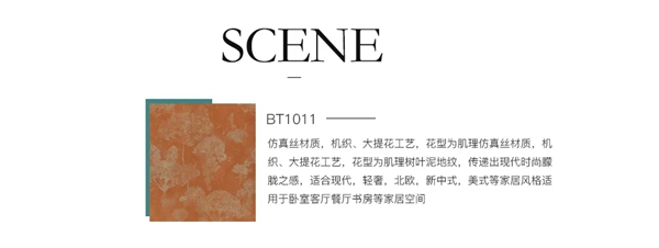 摩卡软装——倒戈的现代派，恋上神秘色调