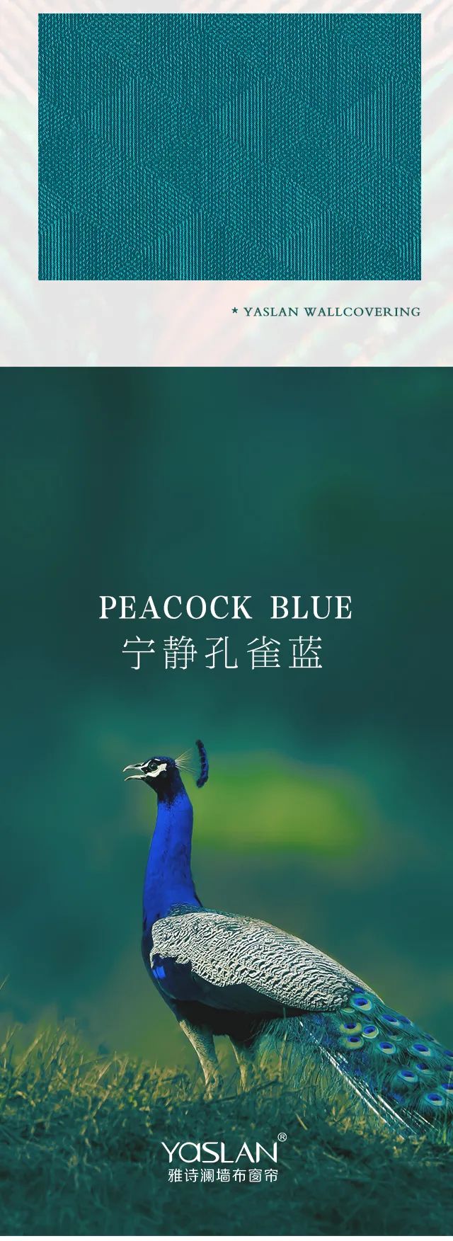 雅诗澜墙布窗帘：灵俏孔雀蓝，勾画绝世独立的居家之美