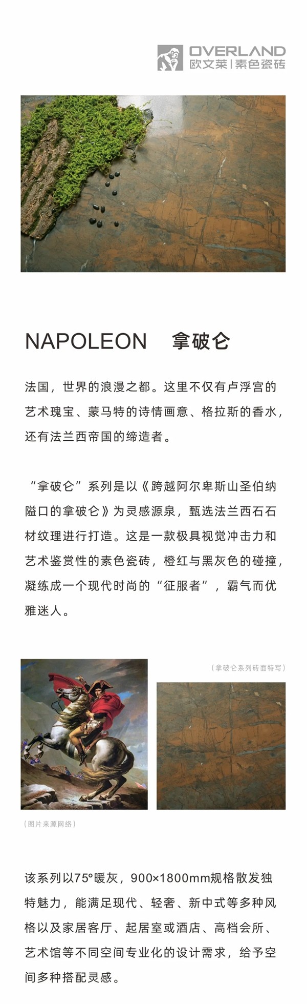 欧文莱陶瓷拿破仑：时尚现代的“征服者”