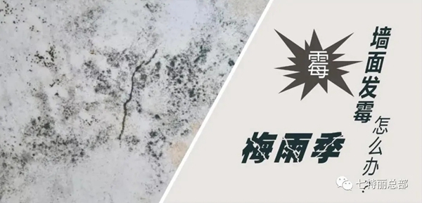 梅雨季节,七特丽教你墙布如何防潮防霉 ?(最全保养攻略)