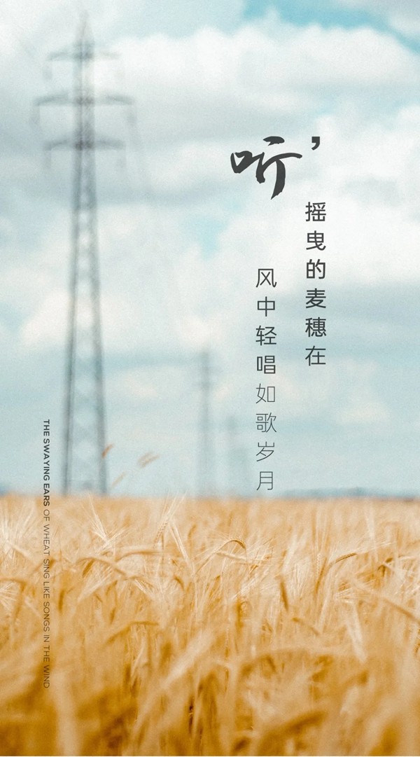 米兰壁纸·墙布·窗帘：风吹麦浪 岁月生香