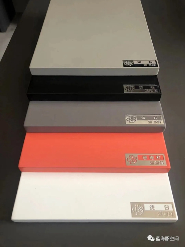 蓝海豚让生活充满色彩