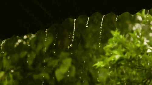 梅雨季节,七特丽教你墙布如何防潮防霉 ?(最全保养攻略)