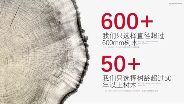博格门窗：不知道投资什么，不如换窗投健康？
