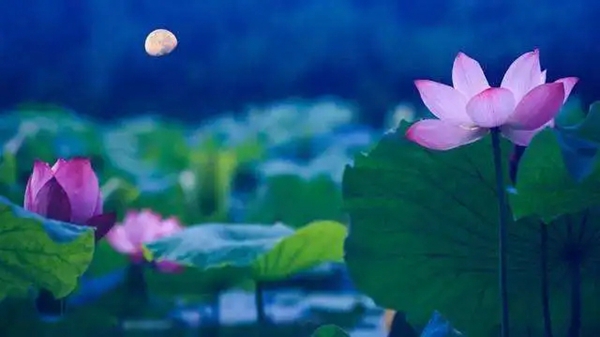 莺牌艺术墙布| 花语，鹤鸣，鱼戏荷塘，古韵遇风情