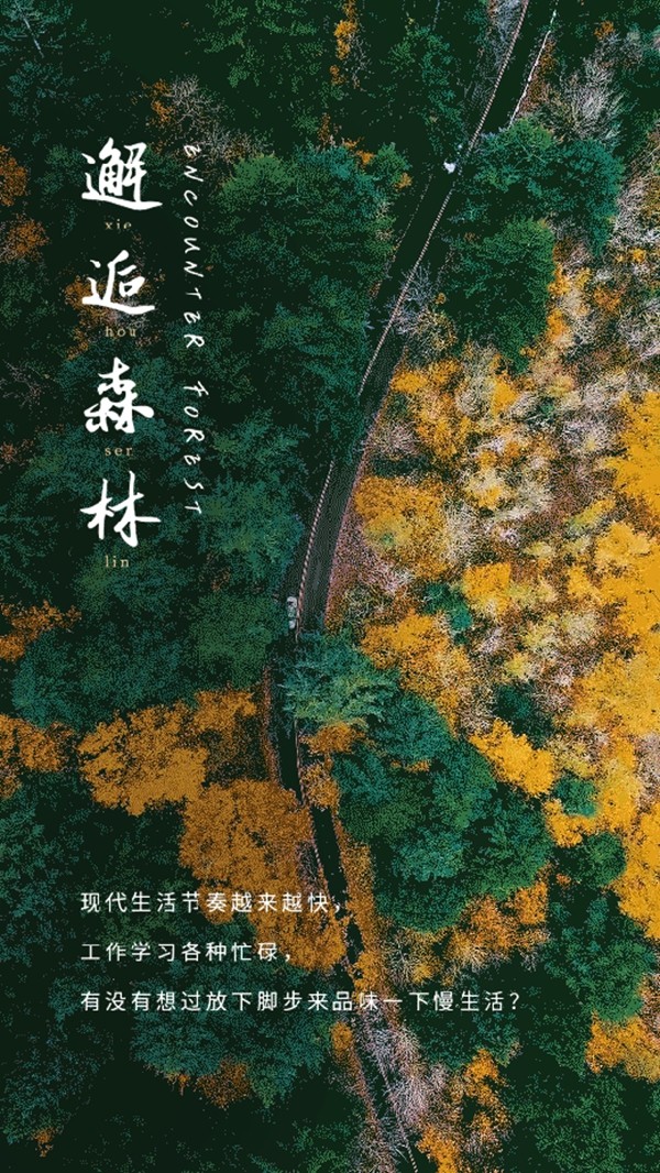 致居软装设计：夏日邂逅森林