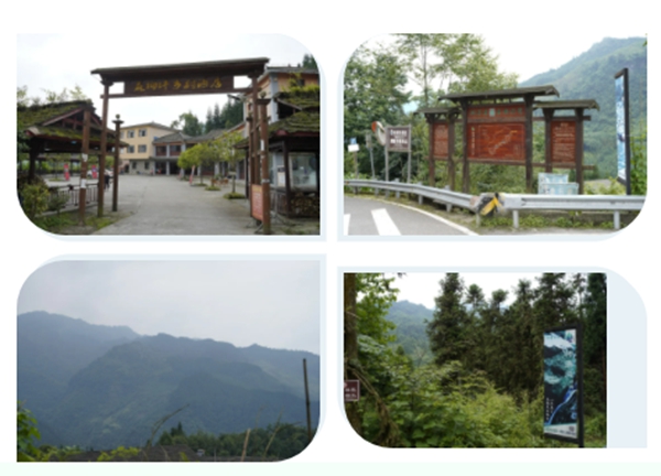美萨门窗“登高望远 砥砺前行” 户外团建活动圆满结束！
