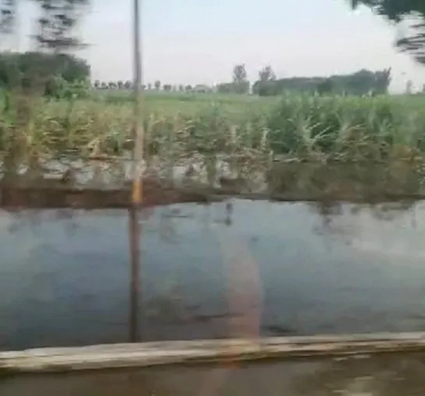 风雨同舟 守望相助——集泰股份驰援河南 首批物资已到达