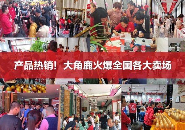 产品供不应求！大角鹿继续扩大产能 开平5厂正式点火投产
