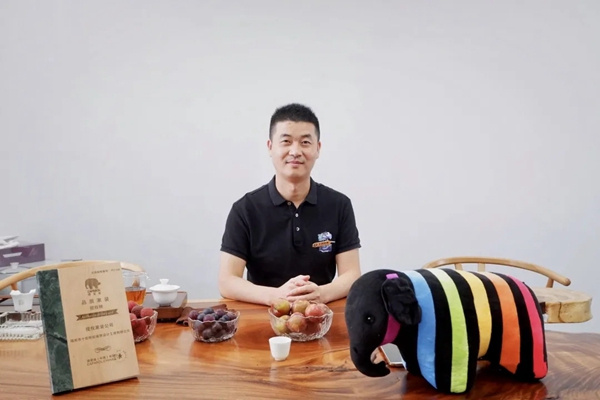 十创装饰—立足福建、服务全国