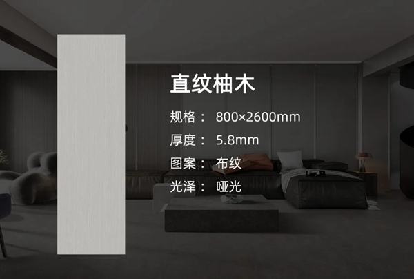 东鹏陶瓷岩板C位出道，墙面升级有妙招！