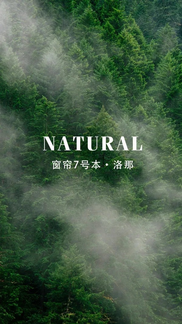 雅菲壁布丨7号本-洛那