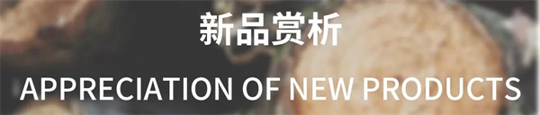 宏陶陶瓷新品发布 | 邂逅岁月的年轮，倾听木纹的故事