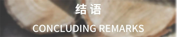 宏陶陶瓷新品发布 | 邂逅岁月的年轮，倾听木纹的故事