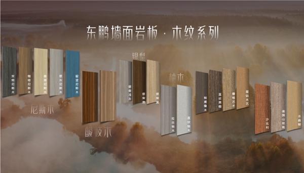 东鹏陶瓷岩板C位出道，墙面升级有妙招！