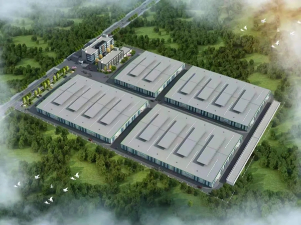 鼎萨木业第二生产基地正式立桩 全新生产基地即将来袭