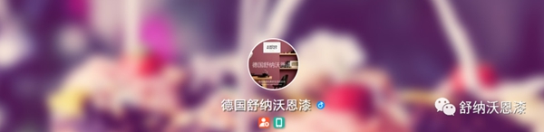 舒纳沃恩漆(乳胶漆)深圳“天王团”，立足经济特区的“生意经”