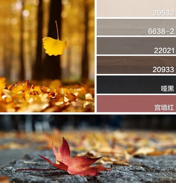 贵朝全屋定制|秋色入室别致搭配,为家书写万般诗意