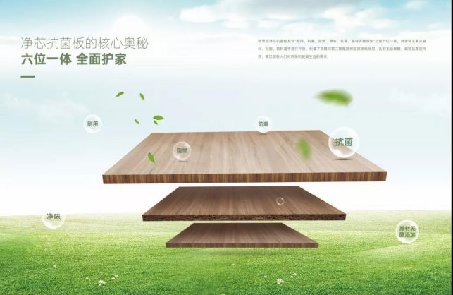 欧蒂尼家居：专业的全屋家居缔造者