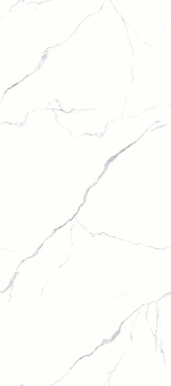 雪狼瓷砖岩板1200×2700干粒抛亮光系列，大而炫丽，美出天际！