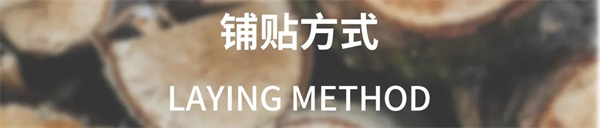 宏陶陶瓷新品发布 | 邂逅岁月的年轮，倾听木纹的故事