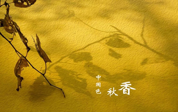 莺牌艺术墙布| 袅袅娜娜，飘飘曳曳，一色一世界