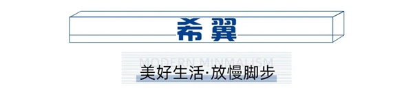 艺和门业|韩式门：为家护航，引领现代新生活