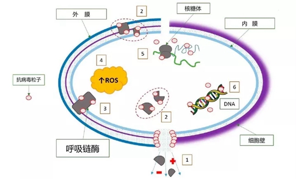 蓝天硅藻泥：如何远离病毒保护家人健康？这位“男蛛”有话说！