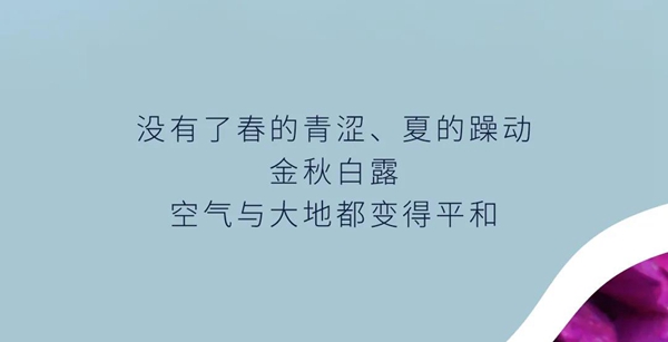 宏宇陶瓷：把大自然的柔情搬进家，美醉了！