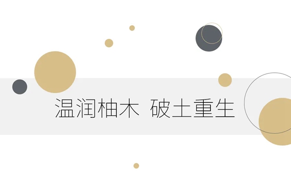 艺和高端门:怦然心动的莫兰迪色