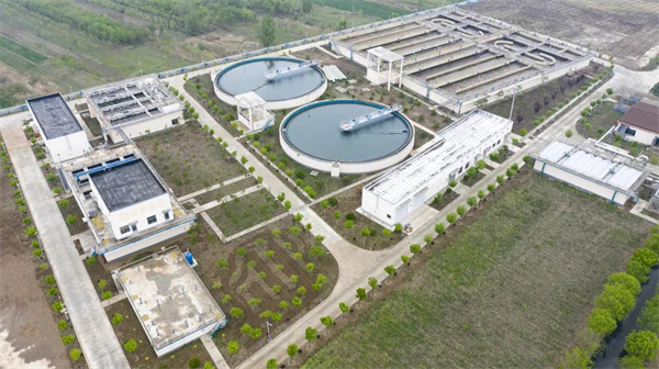 金鹏控股集团荣膺双五百强 踔厉奋发再谱华章 金鹏控股集团荣膺双五百强 踔厉奋发再谱华章