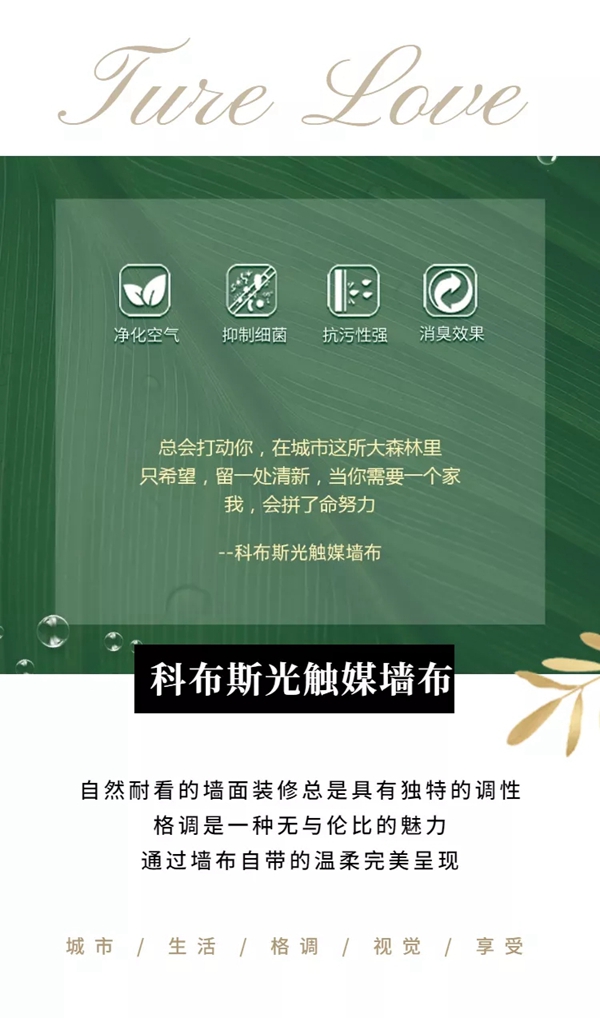 科布斯美学墙布：听说会色彩搭配的人，衣品也很nice