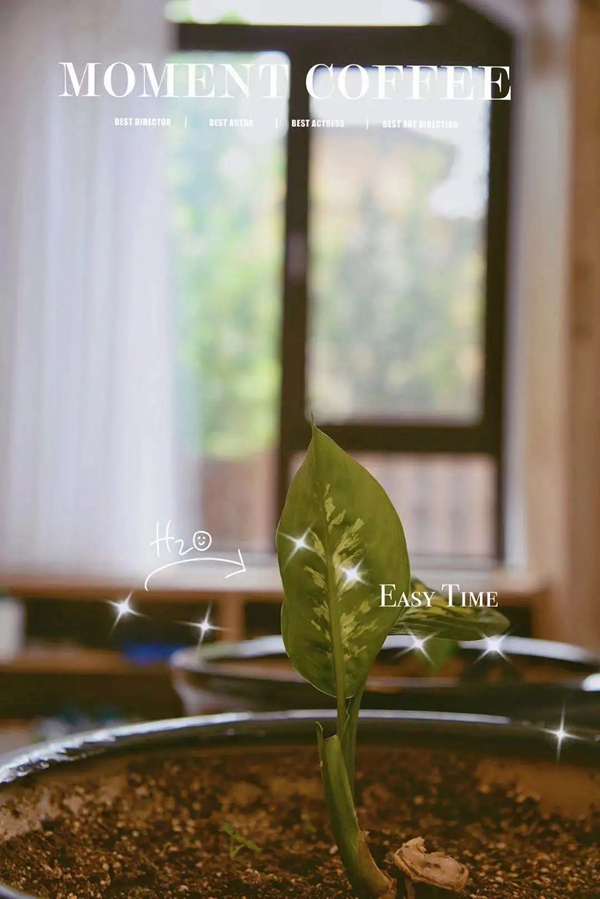 沃伦系统门窗:#以家之名# 门窗故事