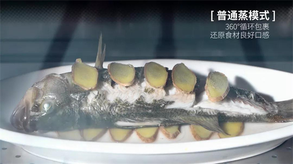奥田集成灶丨是时候公开TA全能出道的秘密了