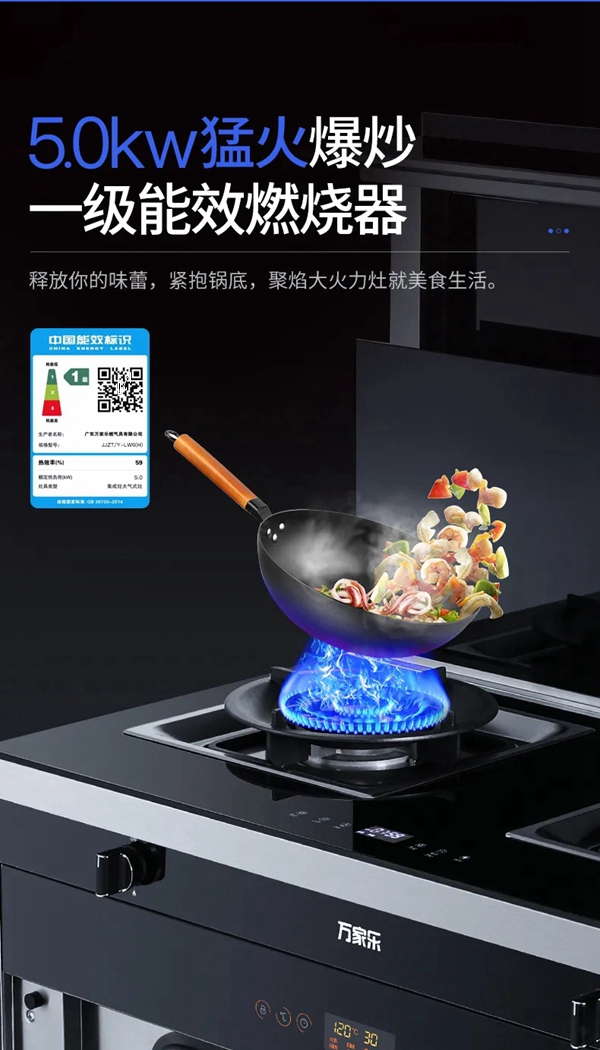 能源危机，天然气价格暴涨，节能就用万家乐集成灶